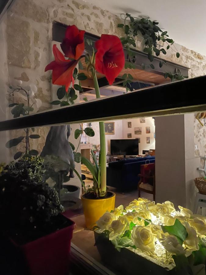 Mas 19E Entierement Climatise Avec Piscine A Usage Exclusif Рокемор Экстерьер фото
